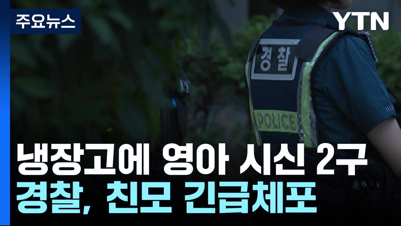 영아 2명 살해 뒤 수년간 냉장고에 유기...30대 친모 체포 / YTN