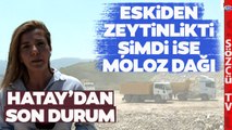 Tüm Şehir Moloz Dağlarıyla Kaplandı! Sözcü TV Hatay'dan Son Durumu Aktardı!