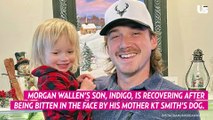 Morgan Wallen’s 2-Year-Old Son Indigo Rushed to Hospital After Being Bitten in the Face by Mother KT Smith’s Dog