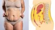 पेट की चर्बी डायबिटीज का कारण कैसे | Belly Fat Diabetes Ka Karan kaise | Boldsky