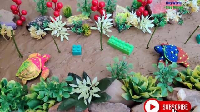 Stop Motion Fish - Snake - Asmr Cooking Stop Motion - Catching River -Tiny World+Stop Motion