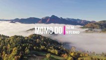 Momo Do - The Mini Vandals ft. Mamadou Koita and Lasso  Reggae Music, Happy Music, Celebration Music, Tribal Music