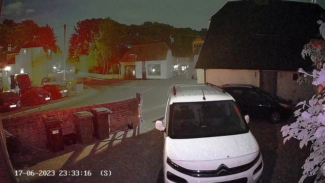 CCTV theft of bay trees from Antiques shop