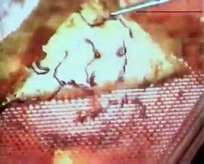 Project: Metalbeast Bande-annonce (EN)