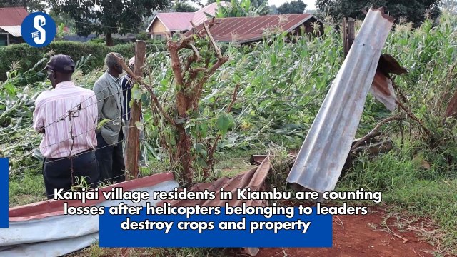 Kanjai village residents in Kiambu are counting losses after helicopters belonging to leaders destroy crops and property