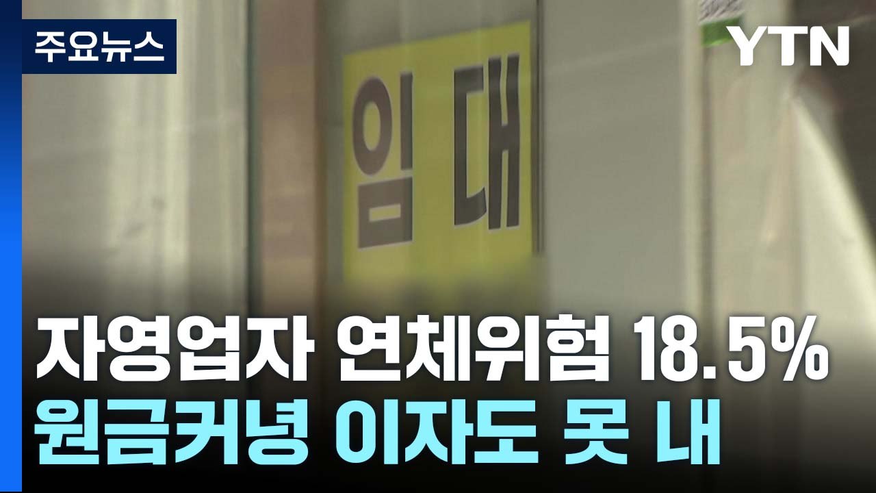 연말 취약 자영업자 연체 위험 18.5%...곳곳 경고등 / YTN