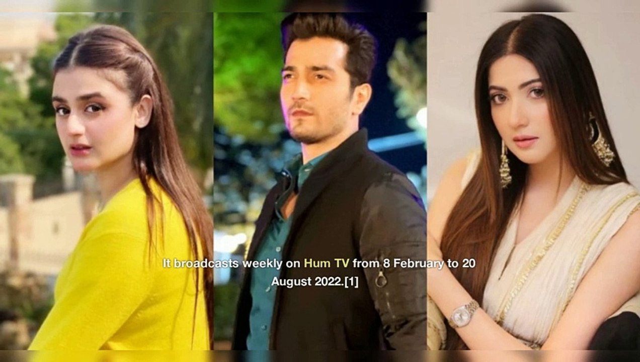 TOP TEN RECENTLY ENDED PAKISTANI DRAMAS - TOP TEN PAKISTANI DRAMAS #pakistanidrama