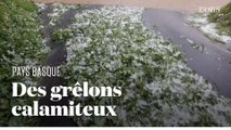 Orages dans le Sud-Ouest : les cultures de piment d'Espelette saccagées par la grêle