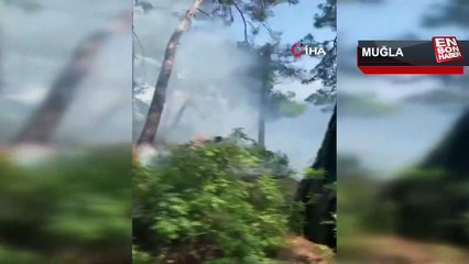 Menteşe'de orman yangını