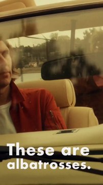 Beck et Phoenix : bande-annonce de la tournée Summer Odyssey Tour