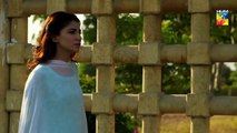 Mah e Tamam - Episode 26 - Wahaj Ali - Ramsha Khan - Best Pakistani Drama - FLO Digital
