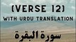 Surah Baqarah Verse 12 | Beautiful Quran Recitation with Urdu Translation | Quran Pak Tilawat Urdu Tarjume ke Saath | تلاوت قرآن مجید اردو ترجمہ کے ساتھ | سورۃ البقرۃ