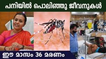 സംസ്ഥാനത്ത് ഡെങ്കിയും എലിപ്പനിയും പടരുന്നു | Amid Dengue and Rat fever concerns kerala,