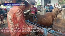 Salon Sapi di Sragen Tarifnya Ratusan Ribu dan Ramai Peminat!