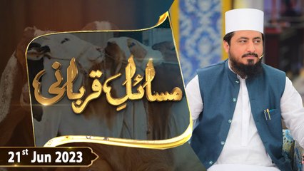 Masail e Qurbani - 21st June 2023 - Qurbani 2023 - ARY Qtv