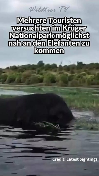 Elefant attackiert Touristen im Boot