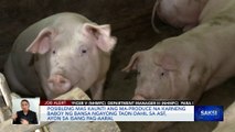 Posibleng mas kaunti ang ma-produce na karneng baboy ng bansa ngayong taon dahil sa ASF, ayon sa isang pag-aaral | Saksi