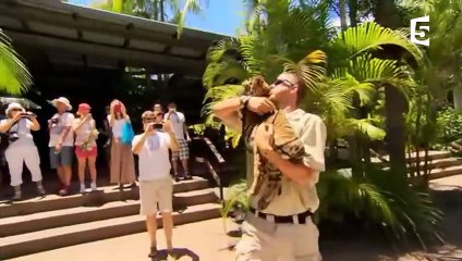 Un bébé tigre nage pour la 1ère fois - ZAPPING SAUVAGE