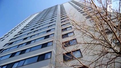 Ce chat survit à une chute de 50m - ZAPPING SAUVAGE