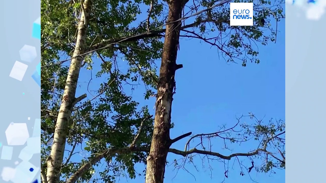 Opferzahl nach Flutkatastrophe in Südukraine auf über 60 gestiegen