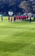 Aloísio e Arma falsa