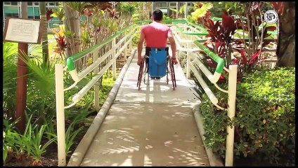 Detenida la creación del Instituto para Personas con Discapacidad y Autismo en Veracruz