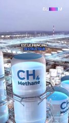 Bill Gates veut réduire le gaz issu de l’élevage bovin ! 