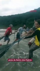 Mais de 7 mil tainhas são capturadas no Retiro dos Padres