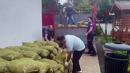 İstanbul Boğazı ve Marmara Denizi'nde Kaçak Midye Avcılığına Yönelik Denetimler Devam Ediyor