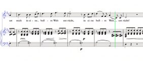 An die Musik - Bm - Franz Schubert