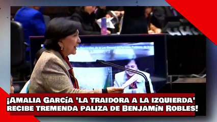 ¡VEAN! ¡Amalia García ‘la traidora a la izquierda’ recibe tremenda paliza de Benjamín Robles del PT!-1