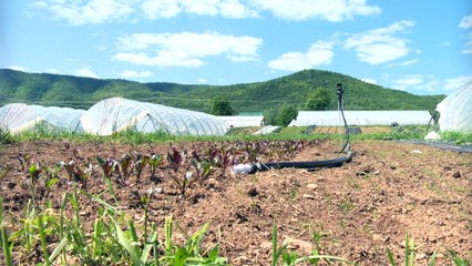 Un nouveau comptoir libre-service à Carleton-sur-Mer
