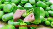 الفول الأخضر ‐ يوفر العديد من الفوائد الهامة للأم والجنين - ستعشقون اكل الفووول بعد معرفتكم هذه الطريقة لطهيه