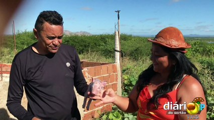 Filhote de porco nasce com dois sexos no Vale do Piancó e veterinário explica caso raro