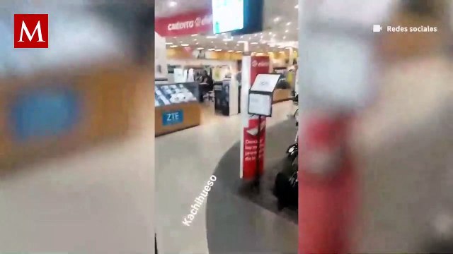 Una sucursal de Elektra da refugio a los perritos callejeros ante ola de calor