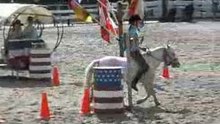 Barrelrace