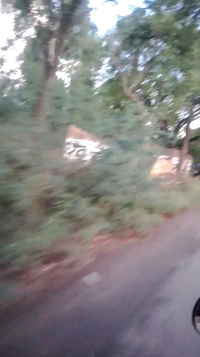 Vlog Rampur
