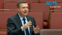 'We need to look at the game': Ross Cadell addresses in the Senate