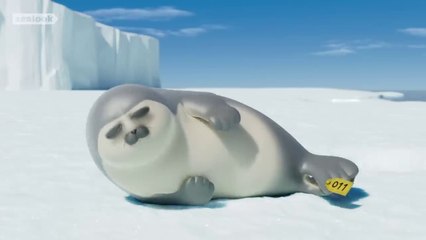 Your Seal-eep TherapistㅣSEALOOKㅣEpisode Compilation #ASMR