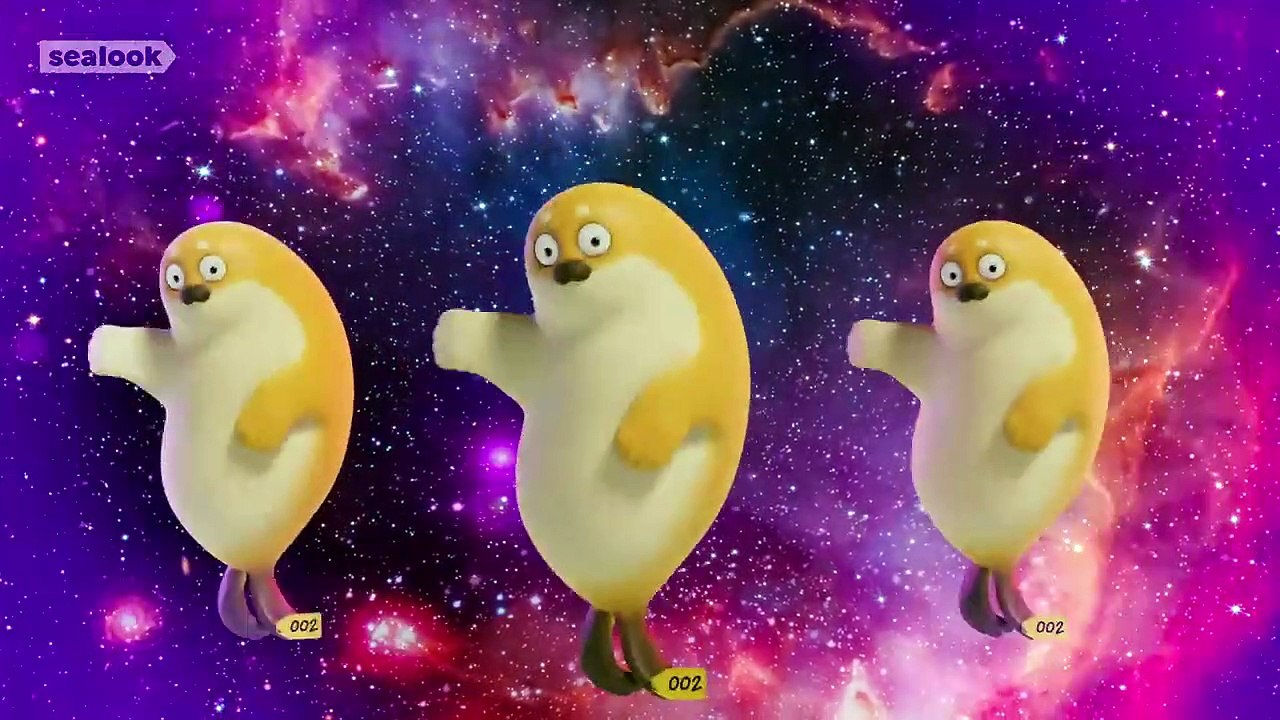 Bouncing SealsㅣSEALOOKㅣEP.5 video Dailymotion