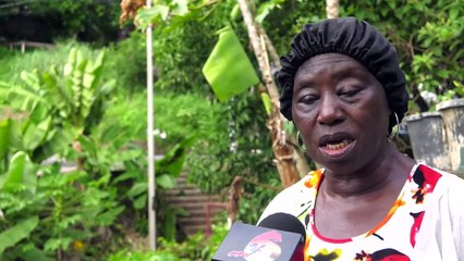 LAVENTILLE WOMAN WANTS HELP WITH ERODING LAND
