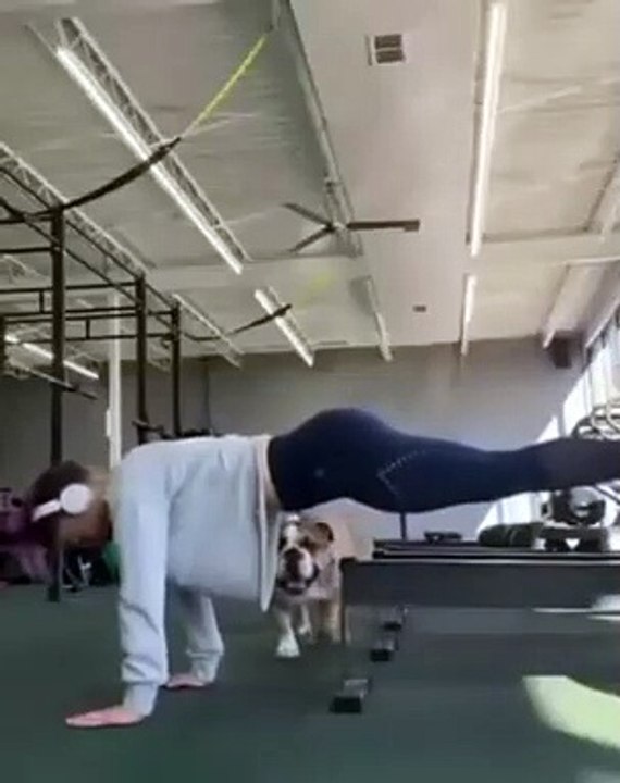 Not a very good boy
