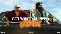 Social Club Misfits - Got What You Need (Austin Knoll Remix / Visualizer)