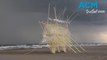 'Strandbeest': Wind-powered walking sand sculptures