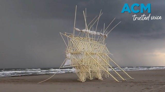 'Strandbeest': Wind-powered walking sand sculptures