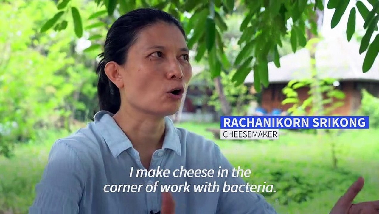 Cheesemaker spreading dairy joy in tropical Thailand video Dailymotion
