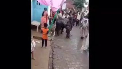 अलीगढ़: शादी समारोह के दौरान दो पक्षों में जमकर चले लाठी-डंडे मारपीट