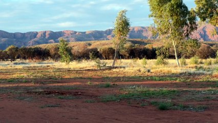 NT coroner hears triple-0 recordings from woman murdered by partner