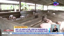 Hindi na maibababa sa P240-P250/kilo ang presyo ng karneng baboy — Dept. of Agriculture | BT