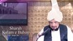 Sharah Abyat e Bahoo Part 36 | میں شہباز کراں پروازاں | Sufi Kalam | Sultan ul Ashiqeen | Urdu/Hindi